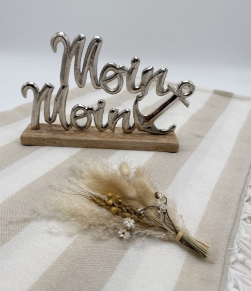 Schild "Moin, Moin"